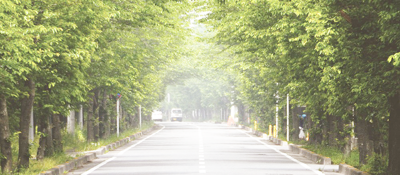 道路イメージ