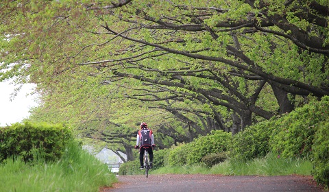 サイクリング