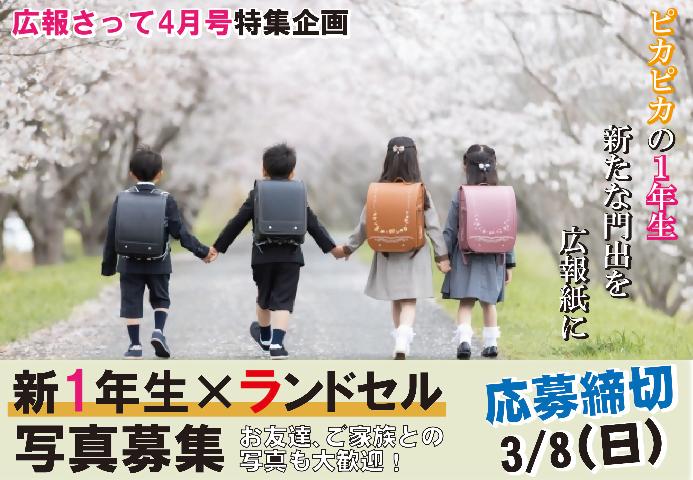 ピカピカの1年生