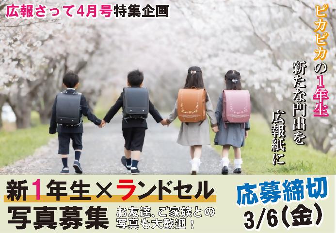 ピカピカの1年生