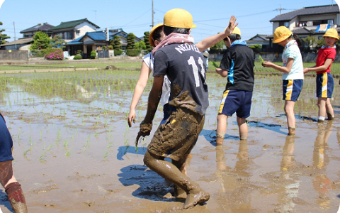アクティビティ授業