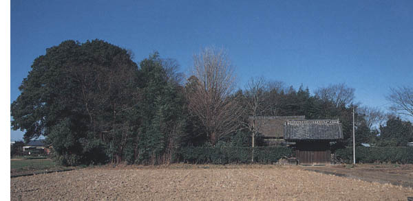 屋敷林