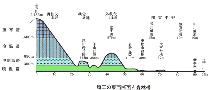 埼玉の東西断面と森林区分