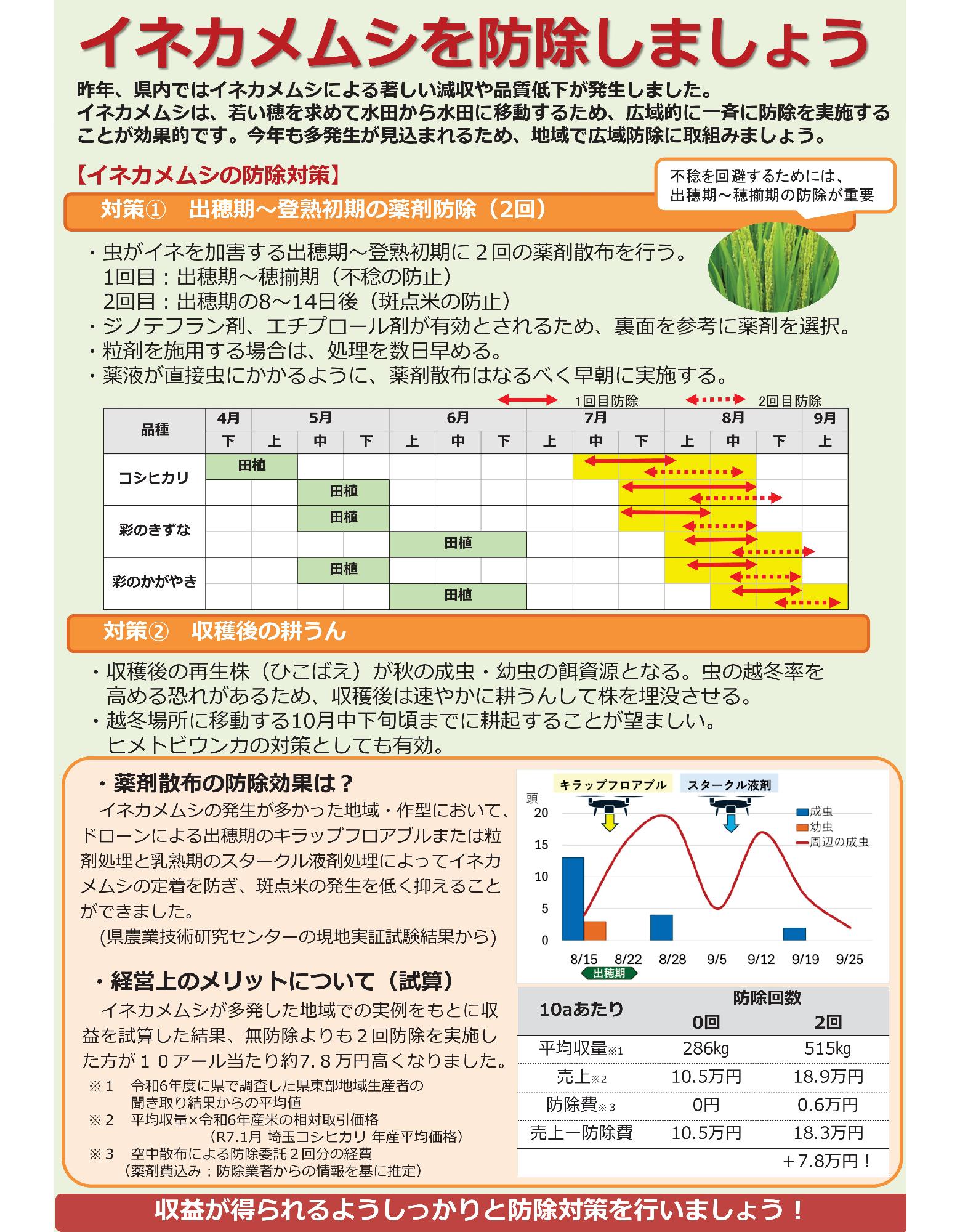 イネカメムシ