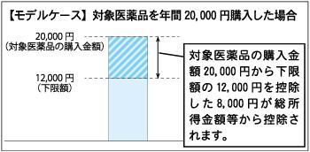 対象医薬品を年間2万円購入した場合のグラフ