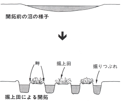 掘上田の模式図