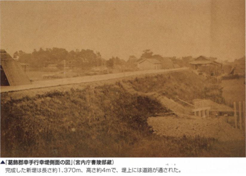 幸手行幸桜堤側面の図