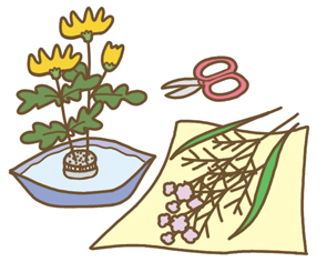 生け花