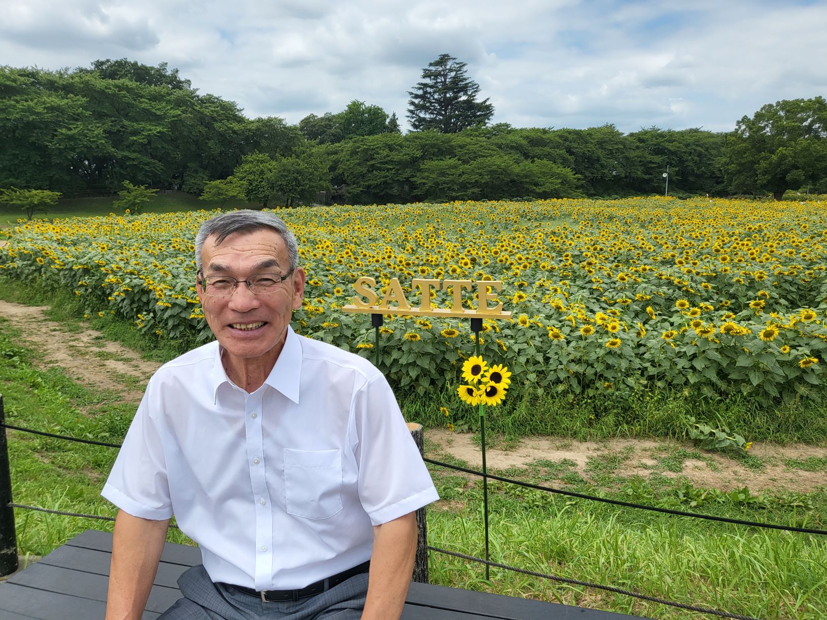 権現堂ひまわり畑