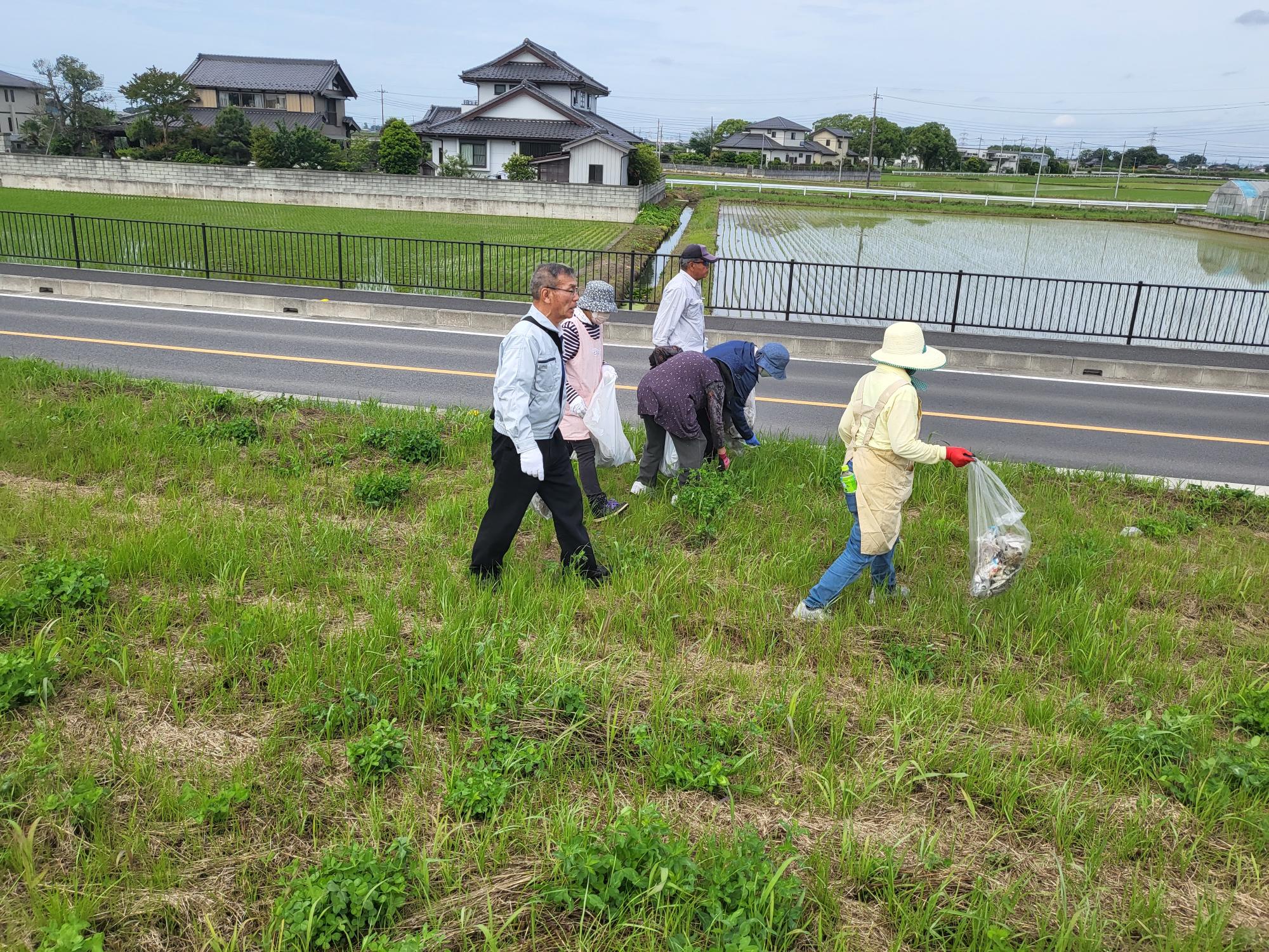 江戸川クリーン作戦