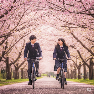 イメージ画像