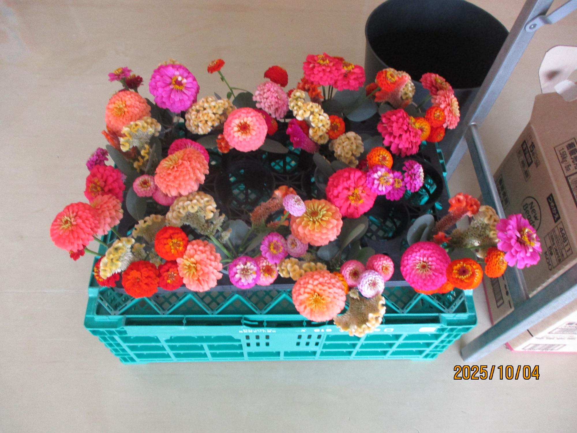 ハロウィンのアレンジメント2