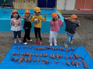 みんなで育てたさつまいも、ついに収穫！