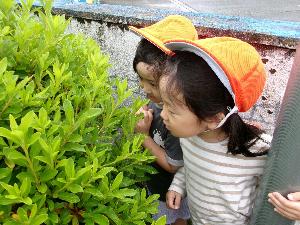 yuir