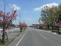 みゆき通りの画像
